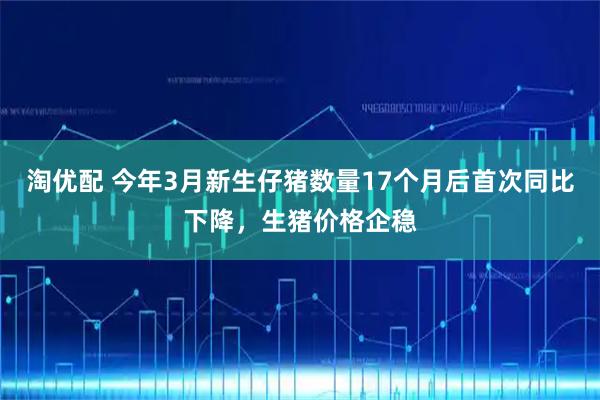 淘优配 今年3月新生仔猪数量17个月后首次同比下降，生猪价格企稳
