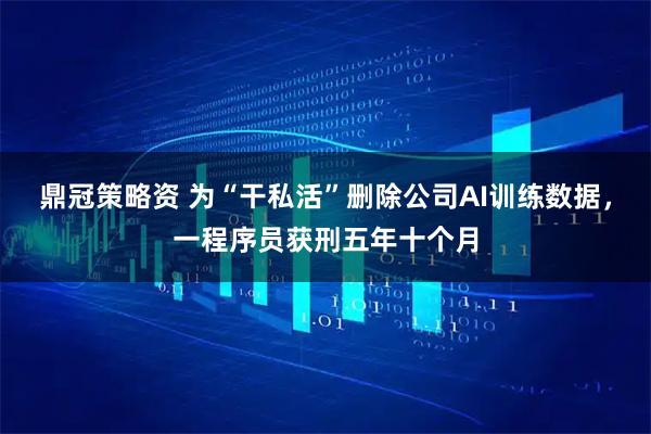 鼎冠策略资 为“干私活”删除公司AI训练数据，一程序员获刑五年十个月