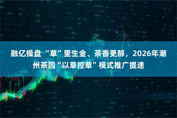 融亿操盘 “草”里生金、茶香更醇,2026年潮州茶园“以草控草”模式推广提速