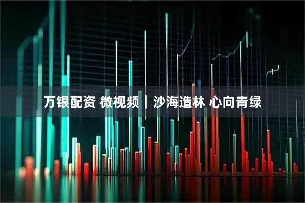 万银配资 微视频｜沙海造林 心向青绿